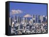 Mt.Fuji and Tokyo Shinjuku Area Skyline, Tokyo, Japan-Steve Vidler-Framed Stretched Canvas