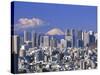 Mt.Fuji and Tokyo Shinjuku Area Skyline, Tokyo, Japan-Steve Vidler-Stretched Canvas