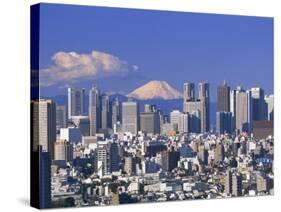 Mt.Fuji and Tokyo Shinjuku Area Skyline, Tokyo, Japan-Steve Vidler-Stretched Canvas