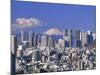 Mt.Fuji and Tokyo Shinjuku Area Skyline, Tokyo, Japan-Steve Vidler-Mounted Photographic Print