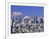 Mt.Fuji and Tokyo Shinjuku Area Skyline, Tokyo, Japan-Steve Vidler-Framed Photographic Print