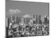 Mt.Fuji and Tokyo Shinjuku Area Skyline, Tokyo, Japan-Steve Vidler-Mounted Photographic Print