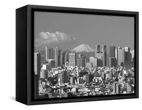 Mt.Fuji and Tokyo Shinjuku Area Skyline, Tokyo, Japan-Steve Vidler-Framed Stretched Canvas