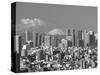 Mt.Fuji and Tokyo Shinjuku Area Skyline, Tokyo, Japan-Steve Vidler-Stretched Canvas