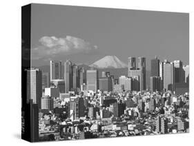 Mt.Fuji and Tokyo Shinjuku Area Skyline, Tokyo, Japan-Steve Vidler-Stretched Canvas