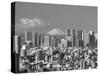 Mt.Fuji and Tokyo Shinjuku Area Skyline, Tokyo, Japan-Steve Vidler-Stretched Canvas