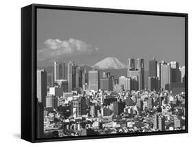 Mt.Fuji and Tokyo Shinjuku Area Skyline, Tokyo, Japan-Steve Vidler-Framed Stretched Canvas