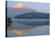 Mt. Fuji and Yamanaka Ko (Lake), Yamanashi, Japan-Christian Kober-Stretched Canvas