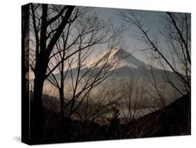 Mt. Fuji Beyond Trees-null-Stretched Canvas