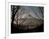 Mt. Fuji Beyond Trees-null-Framed Photographic Print