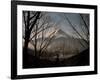 Mt. Fuji Beyond Trees-null-Framed Photographic Print