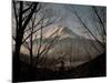 Mt. Fuji Beyond Trees-null-Mounted Photographic Print