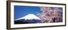 Mt Fuji Cherry Blossoms Yamanashi Japan-null-Framed Premium Photographic Print