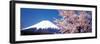 Mt Fuji Cherry Blossoms Yamanashi Japan-null-Framed Premium Photographic Print