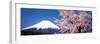 Mt Fuji Cherry Blossoms Yamanashi Japan-null-Framed Premium Photographic Print