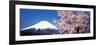 Mt Fuji Cherry Blossoms Yamanashi Japan-null-Framed Premium Photographic Print