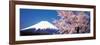 Mt Fuji Cherry Blossoms Yamanashi Japan-null-Framed Premium Photographic Print