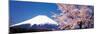 Mt Fuji Cherry Blossoms Yamanashi Japan-null-Mounted Photographic Print