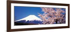 Mt Fuji Cherry Blossoms Yamanashi Japan-null-Framed Photographic Print