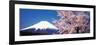 Mt Fuji Cherry Blossoms Yamanashi Japan-null-Framed Photographic Print