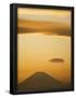 Essential Black