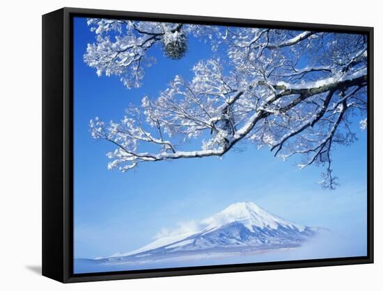 Mt. Fuji from Lake Yamanaka-null-Framed Stretched Canvas