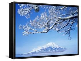 Mt. Fuji from Lake Yamanaka-null-Framed Stretched Canvas