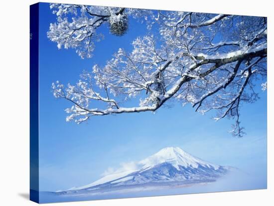 Mt. Fuji from Lake Yamanaka-null-Stretched Canvas