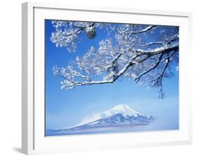 Mt. Fuji from Lake Yamanaka-null-Framed Photographic Print