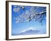 Mt. Fuji from Lake Yamanaka-null-Framed Photographic Print