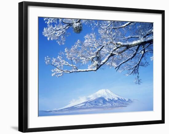 Mt. Fuji from Lake Yamanaka-null-Framed Photographic Print