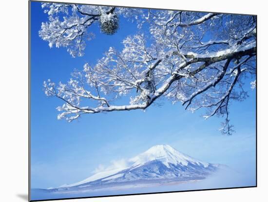 Mt. Fuji from Lake Yamanaka-null-Mounted Photographic Print