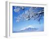 Mt. Fuji from Lake Yamanaka-null-Framed Photographic Print