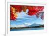 Mt. Fuji in Autumn-ESB Professional-Framed Photographic Print