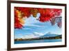 Mt. Fuji in Autumn-ESB Professional-Framed Photographic Print