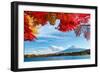 Mt. Fuji in Autumn-ESB Professional-Framed Photographic Print