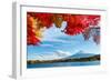 Mt. Fuji in Autumn-ESB Professional-Framed Photographic Print