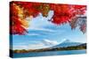 Mt. Fuji in Autumn-ESB Professional-Stretched Canvas