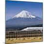 Mt. Fuji in Japan-SeanPavonePhoto-Mounted Photographic Print