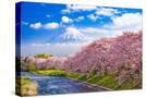 Stretched Canvas