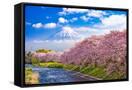 Canvas Black