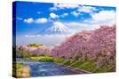 Stretched Canvas
