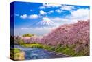 Stretched Canvas