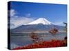 Mt.Fuji, Japan-Adina Tovy-Stretched Canvas