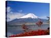 Mt.Fuji, Japan-Adina Tovy-Stretched Canvas