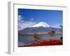 Mt.Fuji, Japan-Adina Tovy-Framed Photographic Print