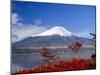 Mt.Fuji, Japan-Adina Tovy-Mounted Photographic Print