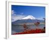 Mt.Fuji, Japan-Adina Tovy-Framed Photographic Print