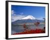 Mt.Fuji, Japan-Adina Tovy-Framed Photographic Print