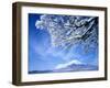 Mt. Fuji & Lake Yamanaka, Yamanashi, Japan-null-Framed Premium Photographic Print